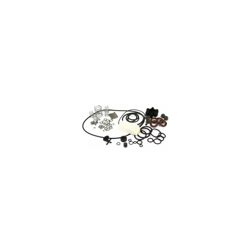 Minor kit for Pascal SD series 1005 to 2021 Minor kit for Pascal SD series 1005 to 2021