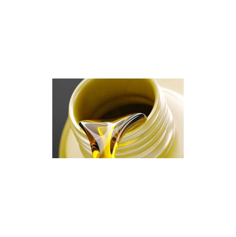 D1, synthetic diester based oil, 5 l D1, synthetic diester based oil, 5 l