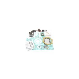 Major Rebuild Kit with Vanes used on Rietschle V-VCA-VCE VCA40, VCE40