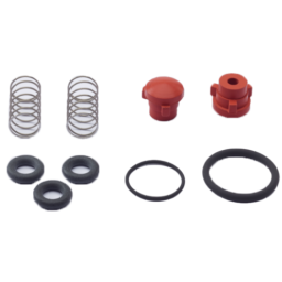Valve kit for Pfeiffer HiScroll 46