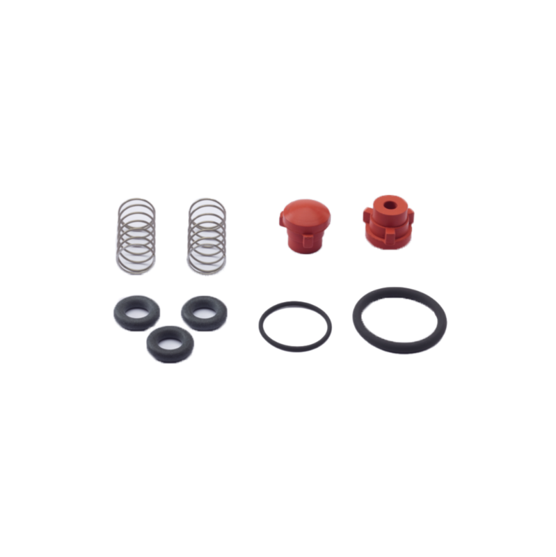 Valve kit for Pfeiffer HiScroll 46