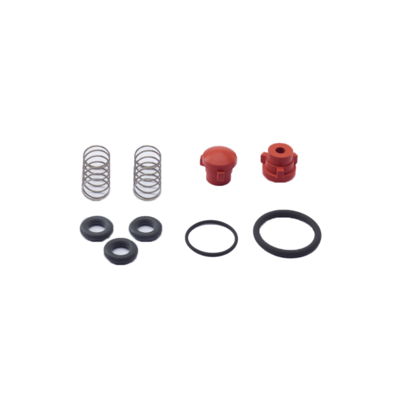 Valve kit for Pfeiffer HiScroll 6/12/18